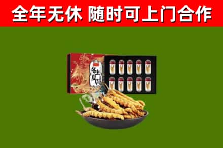 汉阳烟酒回收冬虫夏草礼盒.jpg
